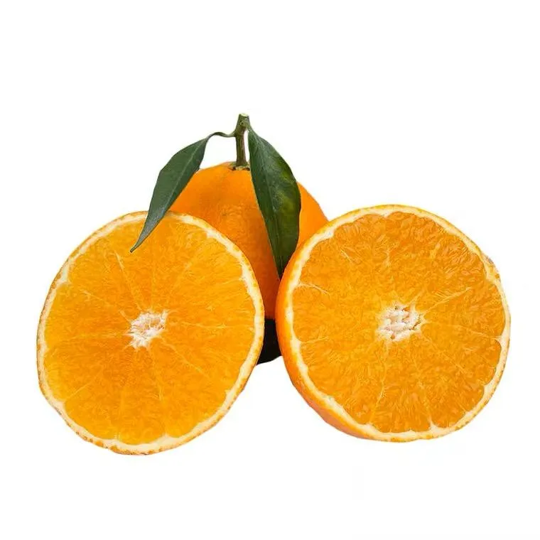 Buy tangerine vs mandarin orange types + price