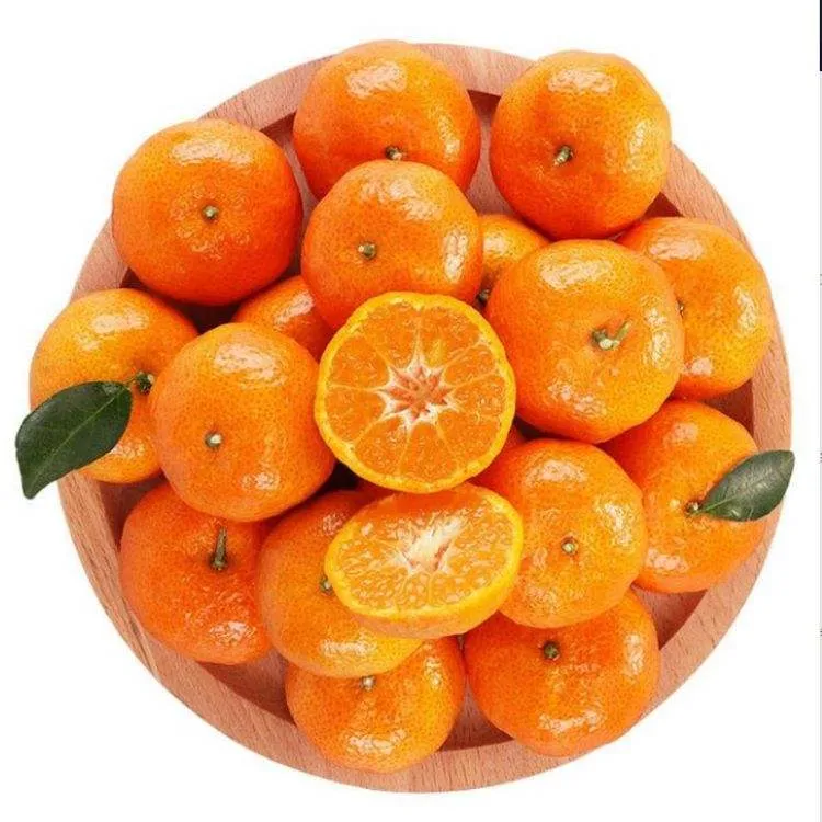Buy tangerine fruit in tagalog types + price