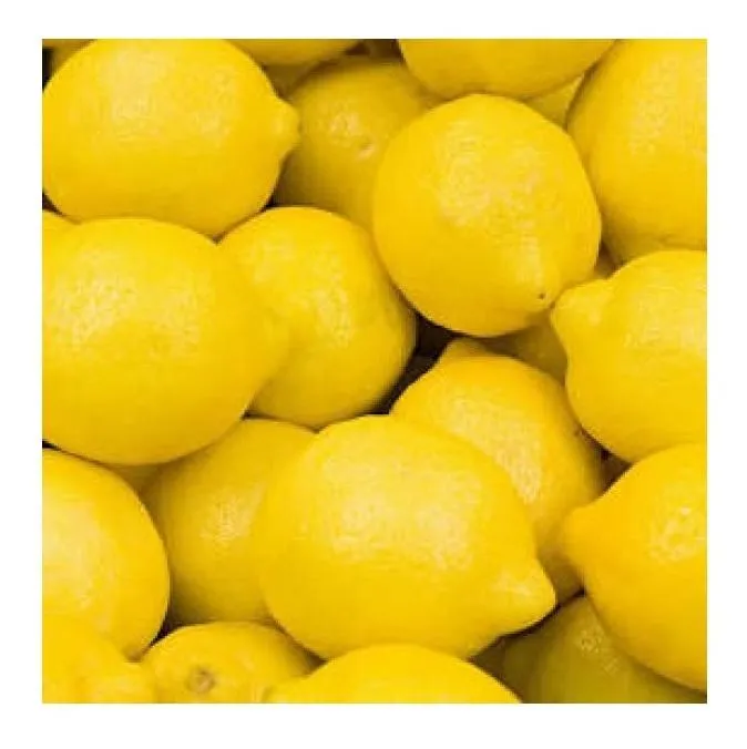 Buy eureka lemon in India + great price with guaranteed quality