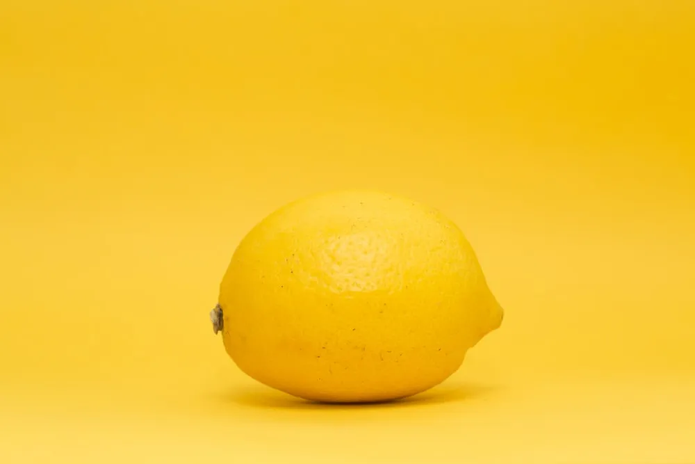 Buy eureka lemon vs meyer lemon + best price