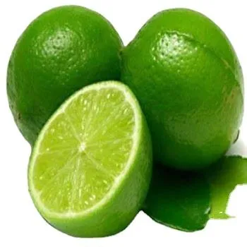 Price and buy eureka lemon vs lisbon lemon + cheap sale