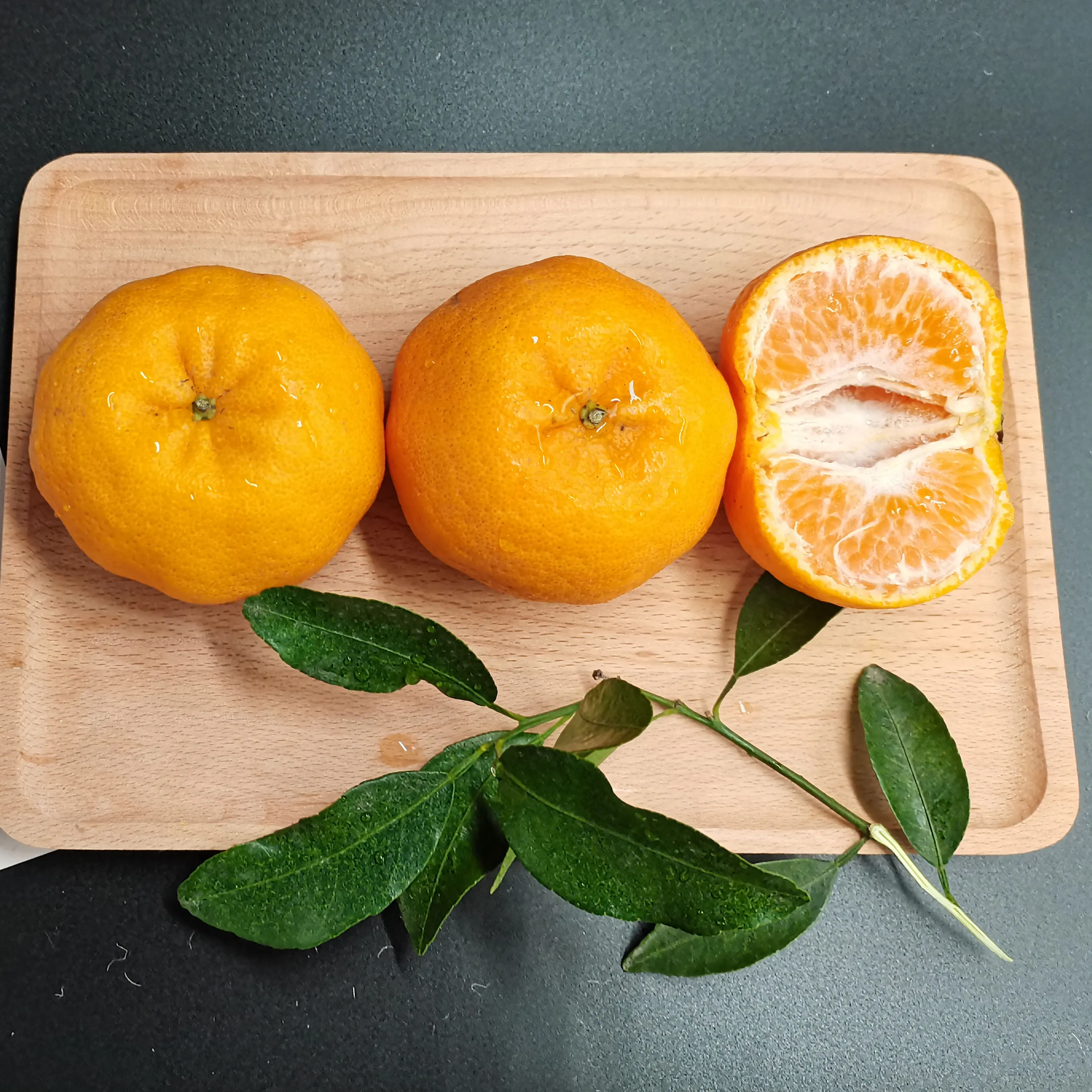 Jaffa oranges Australia price + wholesale and cheap packing specifications