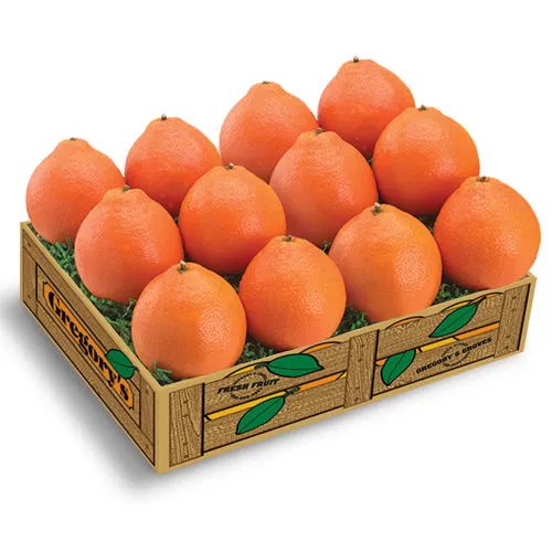 Introducing quality navel orange + the best purchase price