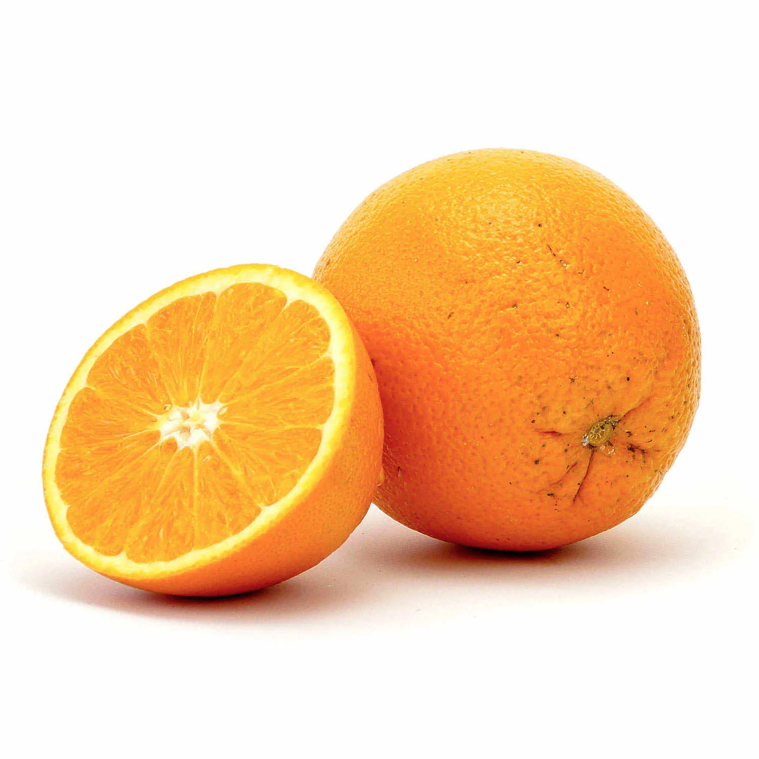 Introducing quality navel orange + the best purchase price