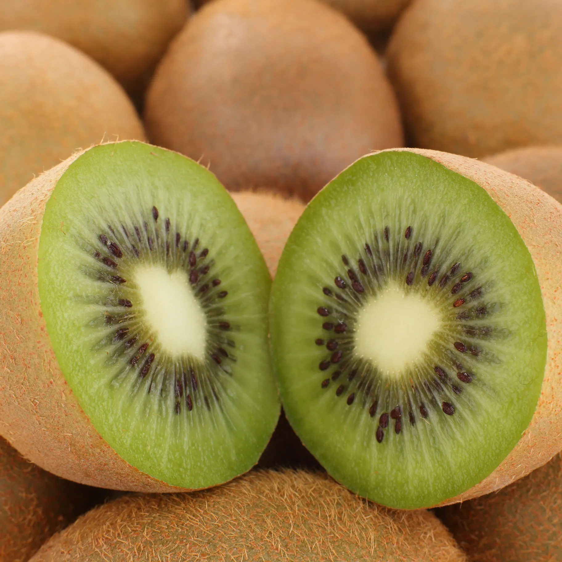 Buying the latest types of Golden kiwi from the most reliable brands in the world
