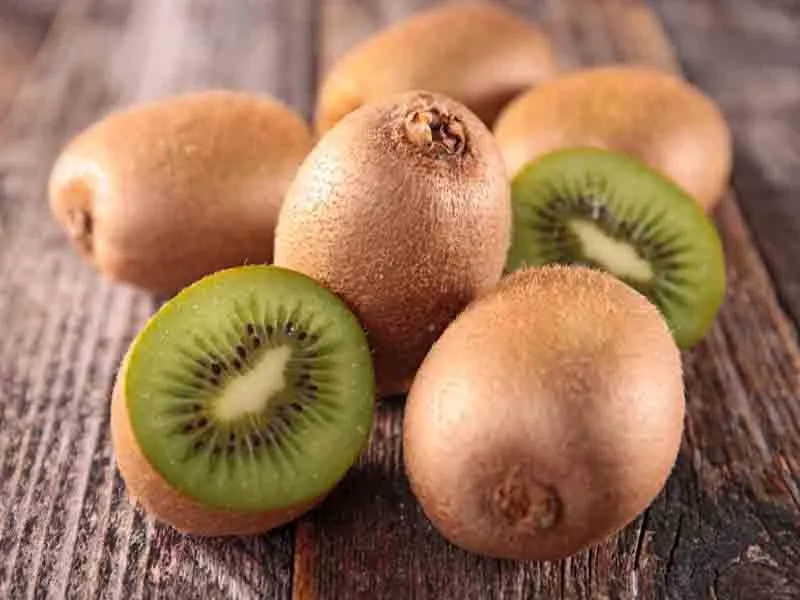 golden sour kiwi purchase price + specifications, cheap wholesale