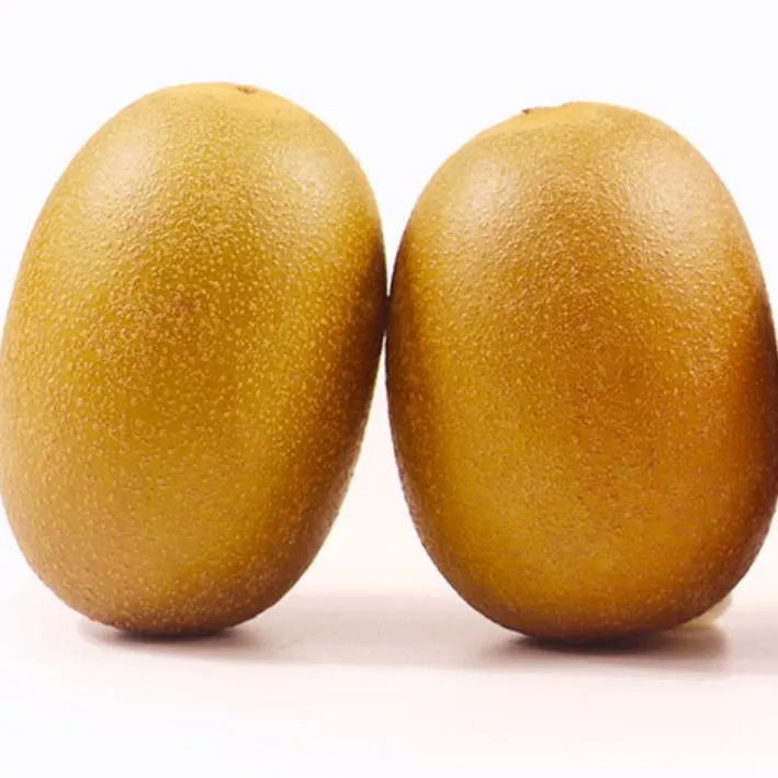 Buy the latest types of golden medium kiwi