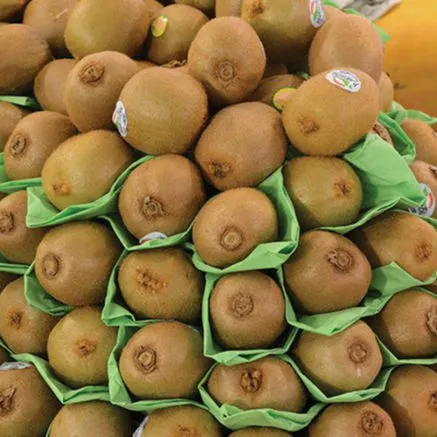 Specifications golden sweet kiwi + purchase price