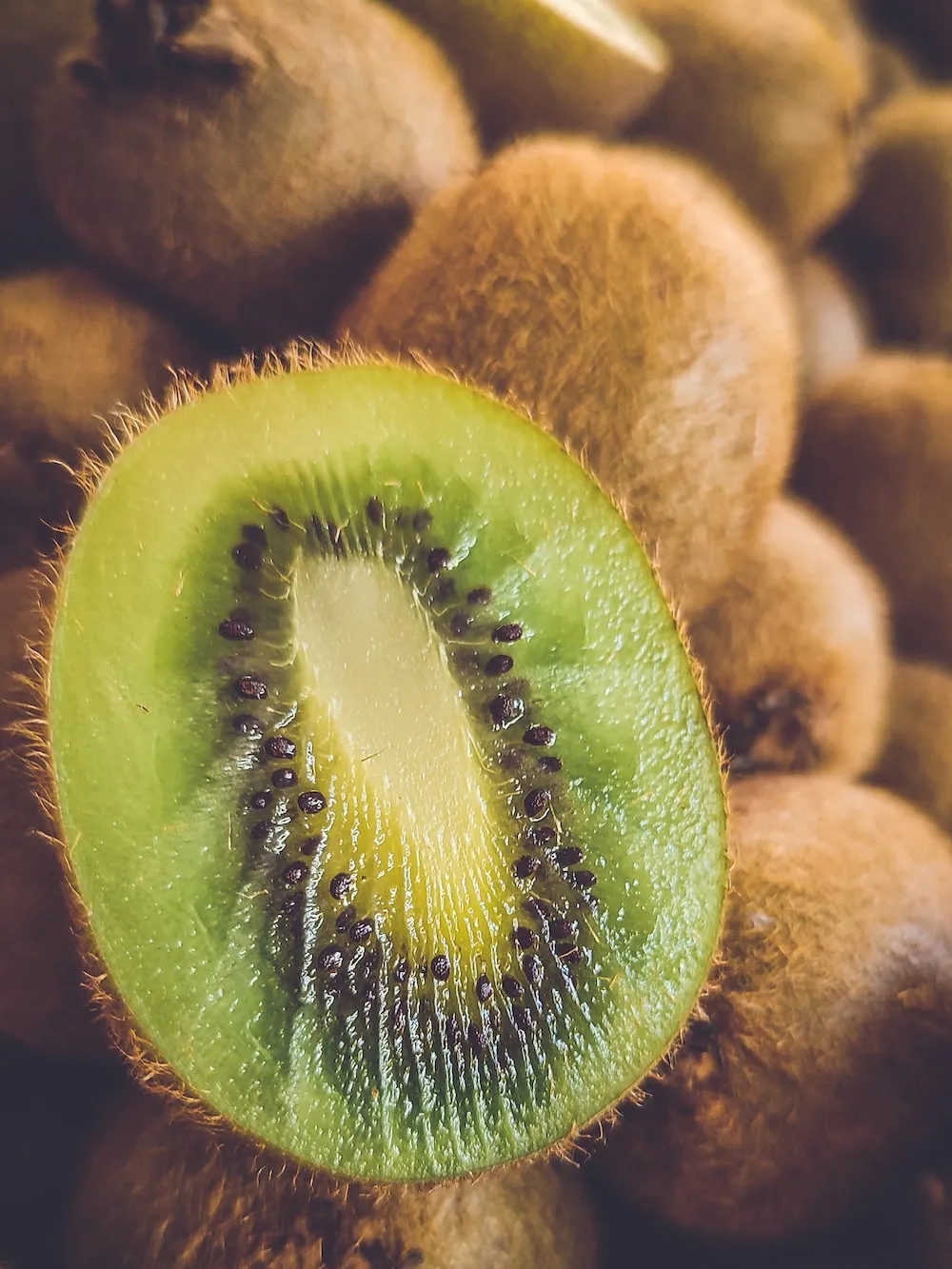 Introduction of types Hardy kiwi + daily purchase price
