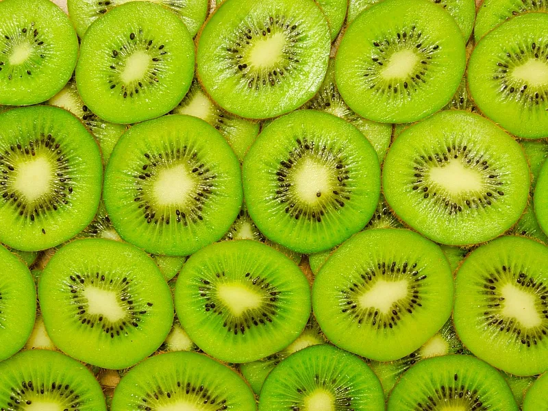 kiwi fruit origin plant | Buy at a cheap price