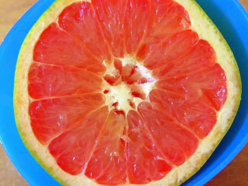 Buy oro blanco grapefruit tree for sale + best price