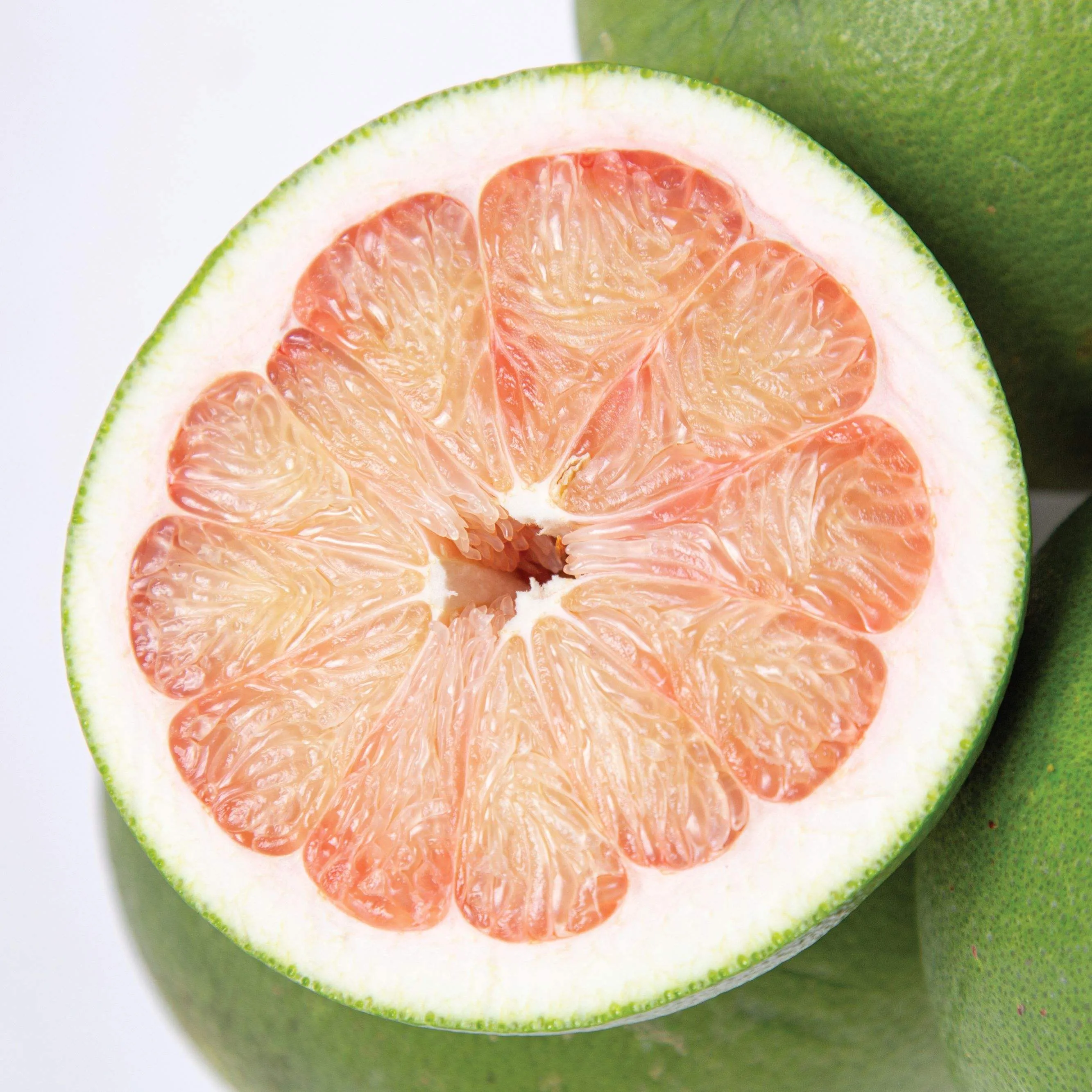 pomelo pomelo Indonesia | Sellers at reasonable prices pomelo Indonesia