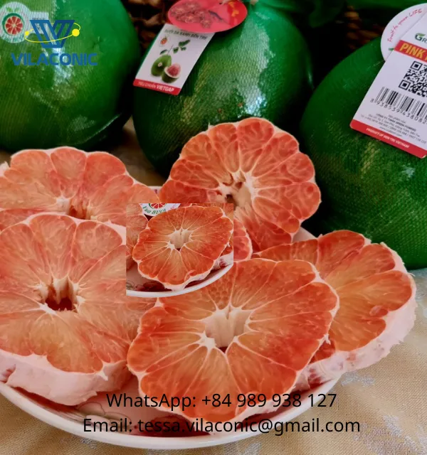 pomelo pomelo Indonesia | Sellers at reasonable prices pomelo Indonesia