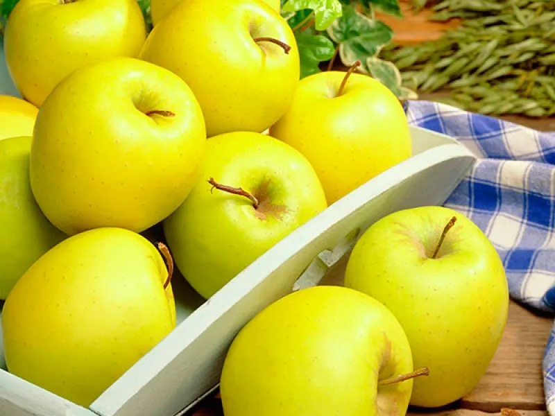 Healthy golden apple purchase price + photo