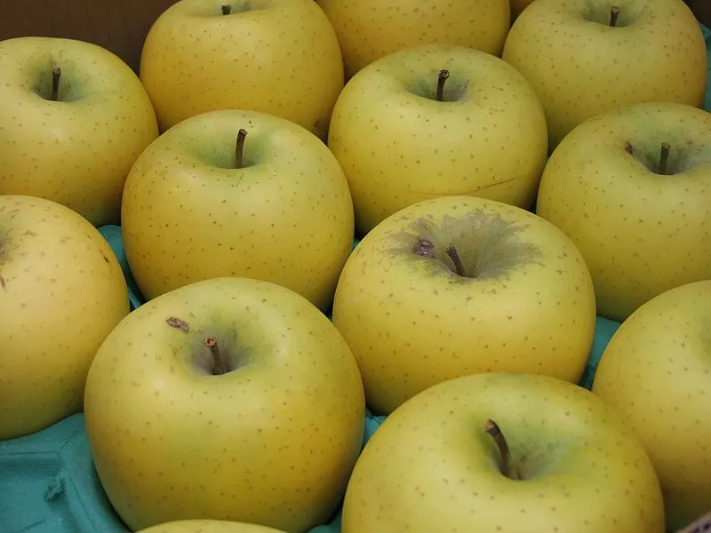 Healthy golden apple purchase price + photo