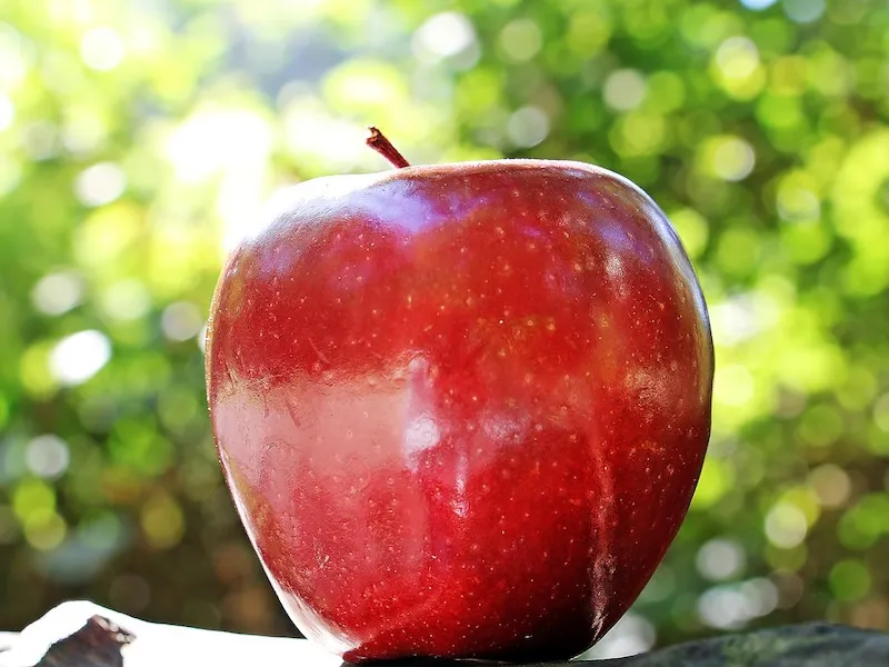Buy red golden apple fruit + best price