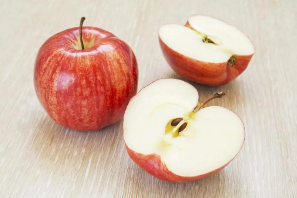 Buy all kinds of Rockit apples at the best price