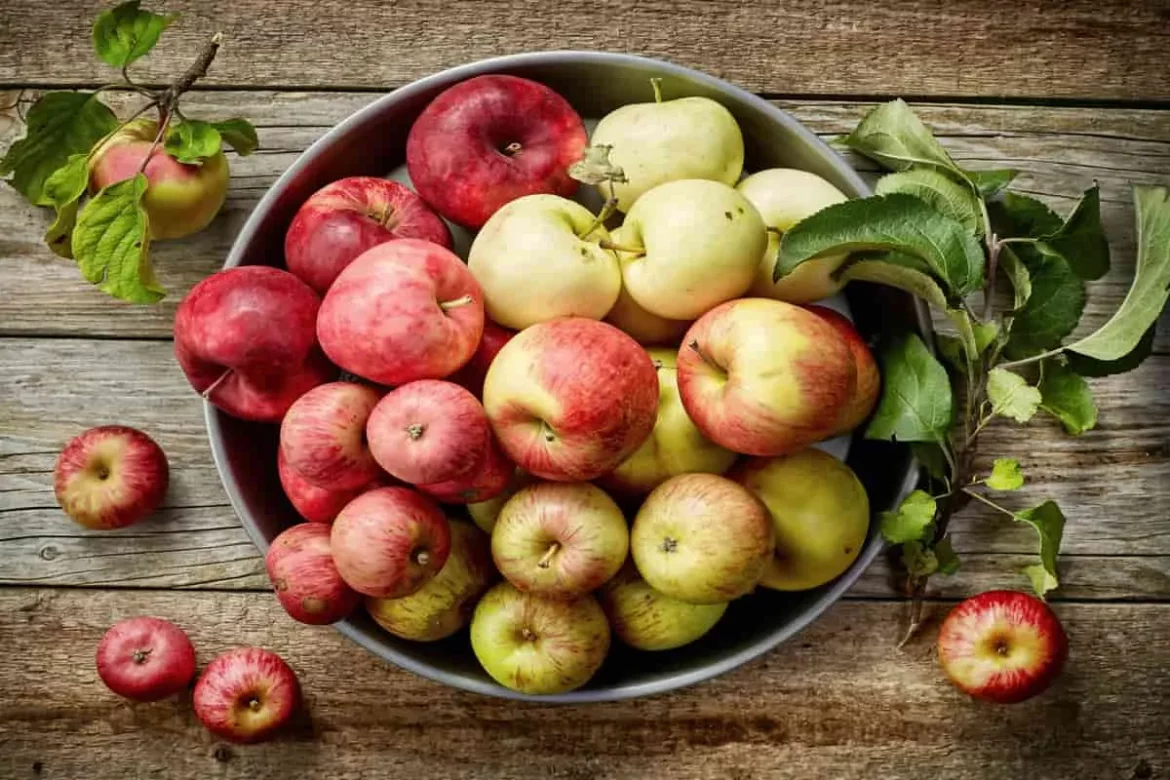 Purchase and price of rockit apples australia types