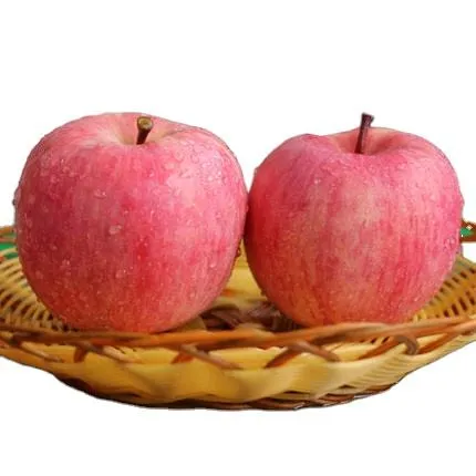 Buy and price of jamaican star apple fruit