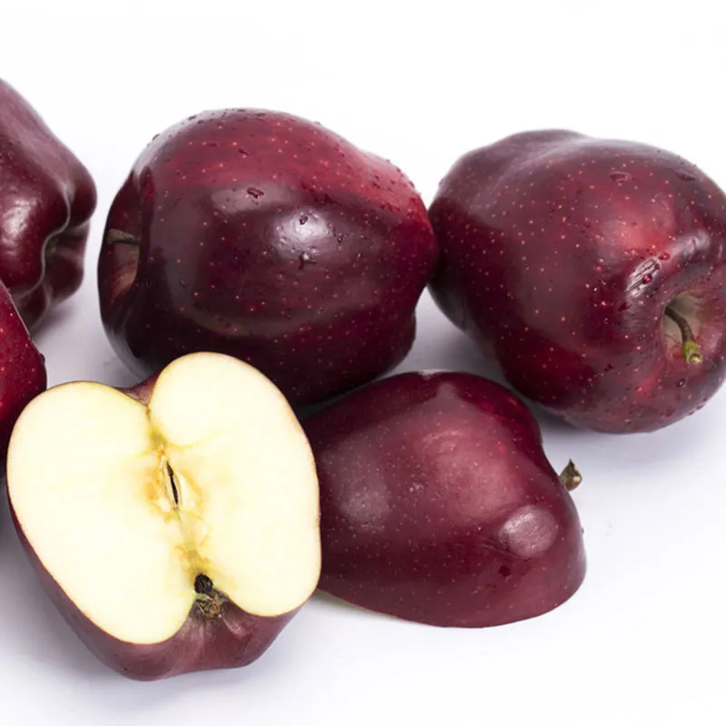 Buy and price of jamaican star apple fruit