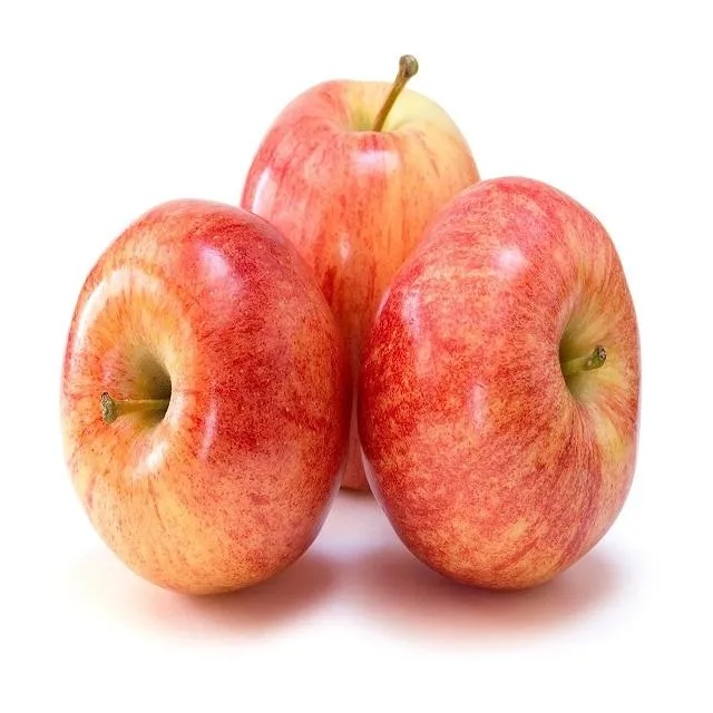 ginger gold apples price + wholesale and cheap packing specifications