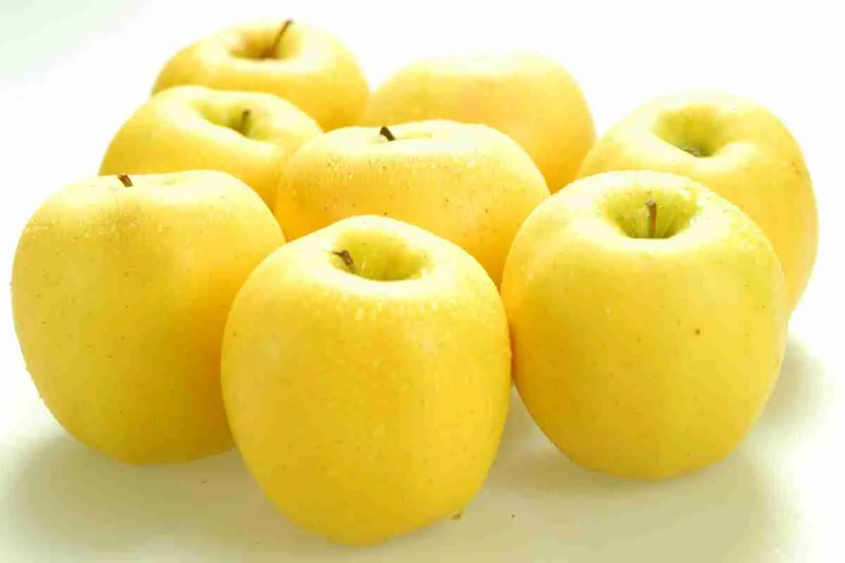 ginger gold apple purchase price + photo
