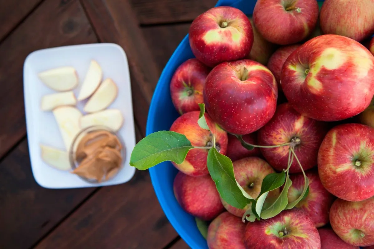 ginger gold apple vs golden delicious | Reasonable price, great purchase