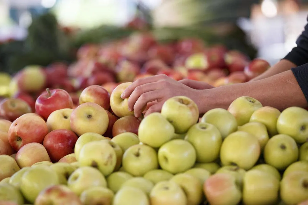 Price and buy ginger gold apples for sale + cheap sale