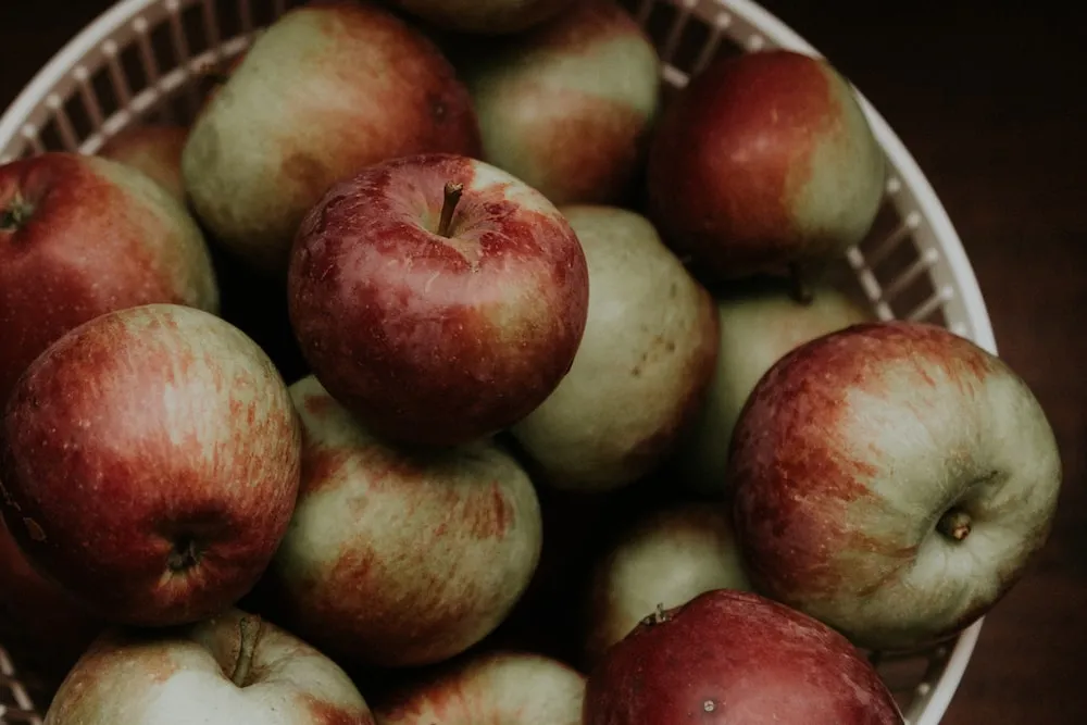 The price of braeburn apples nz + wholesale production distribution of the factory