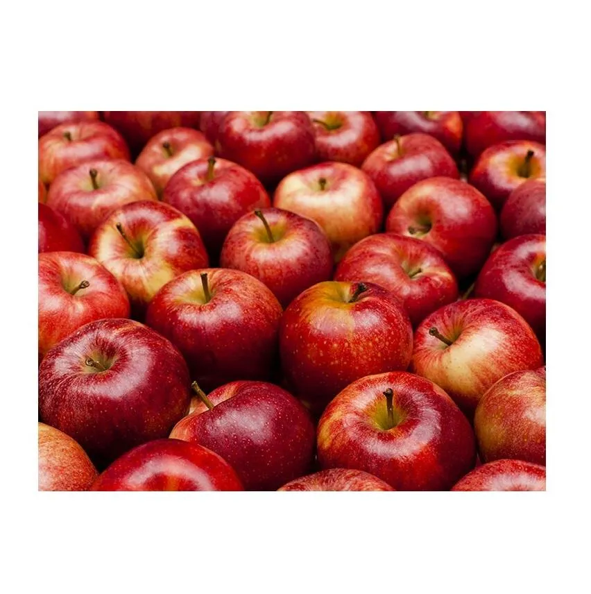 The price of braeburn apples nz + wholesale production distribution of the factory
