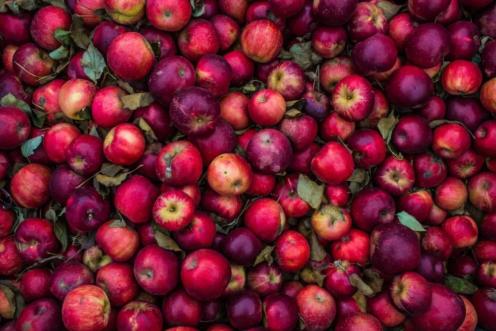 The price of braeburn apples tesco from production to consumption