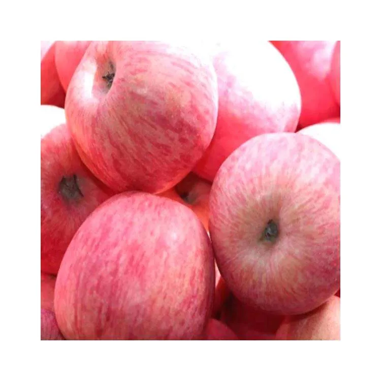 Buy Golden apple fruit 60 grams + best price