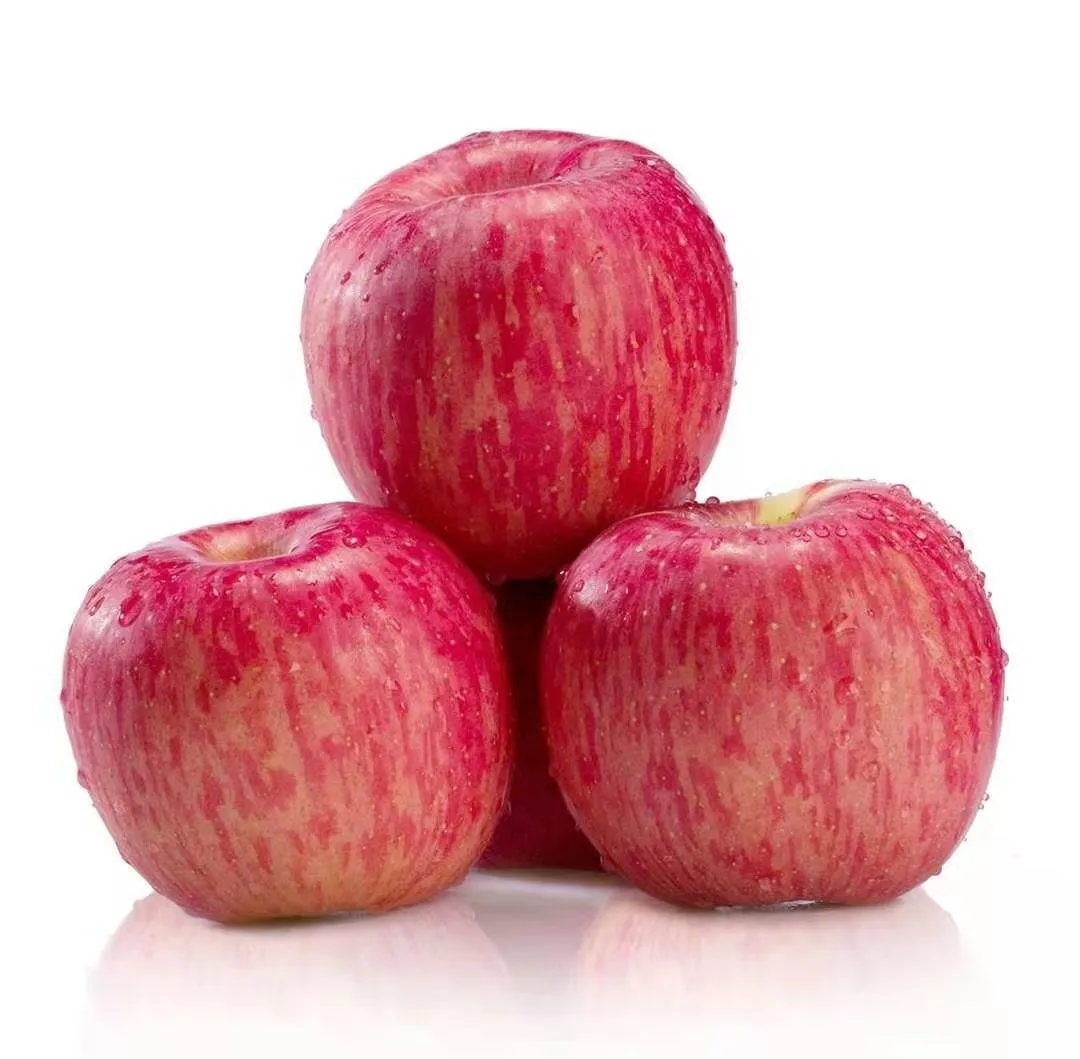 Buy honeycrisp apple | Selling all types of honeycrisp apple at a reasonable price