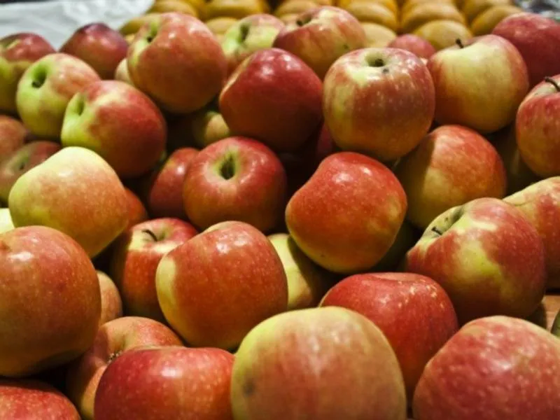 Buy empire apple sweetness types + price
