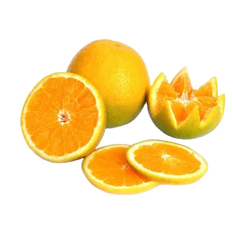 tangerine fruit in tagalog 2023 price list