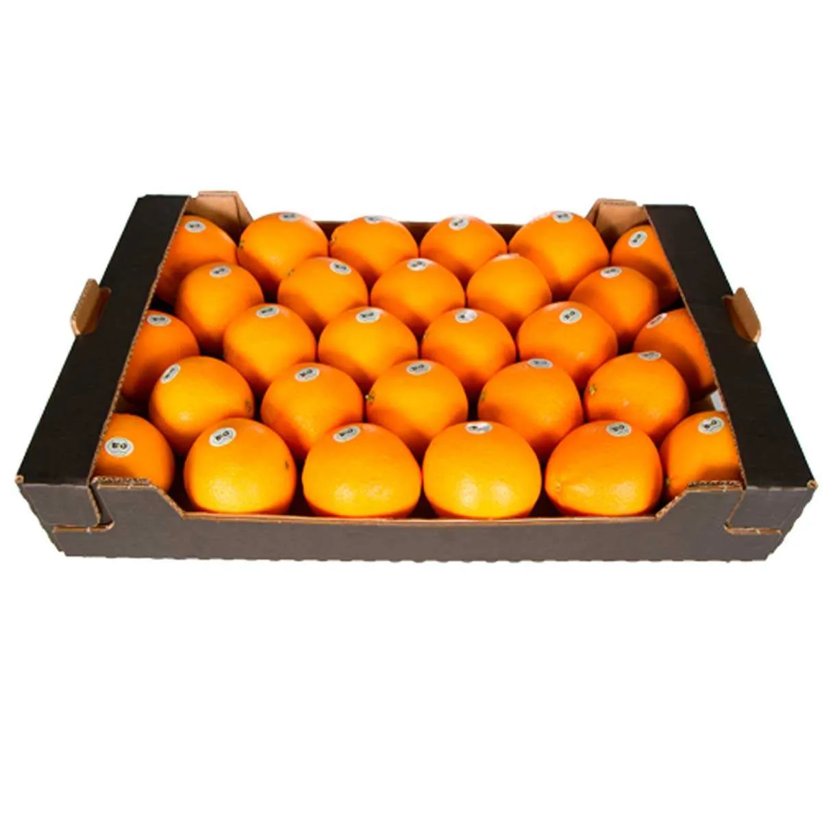 Buy the latest types of tangerine fruit vs orange