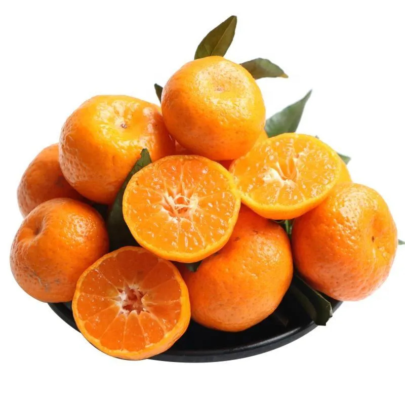 Buy mandarin fruit vs orange types + price