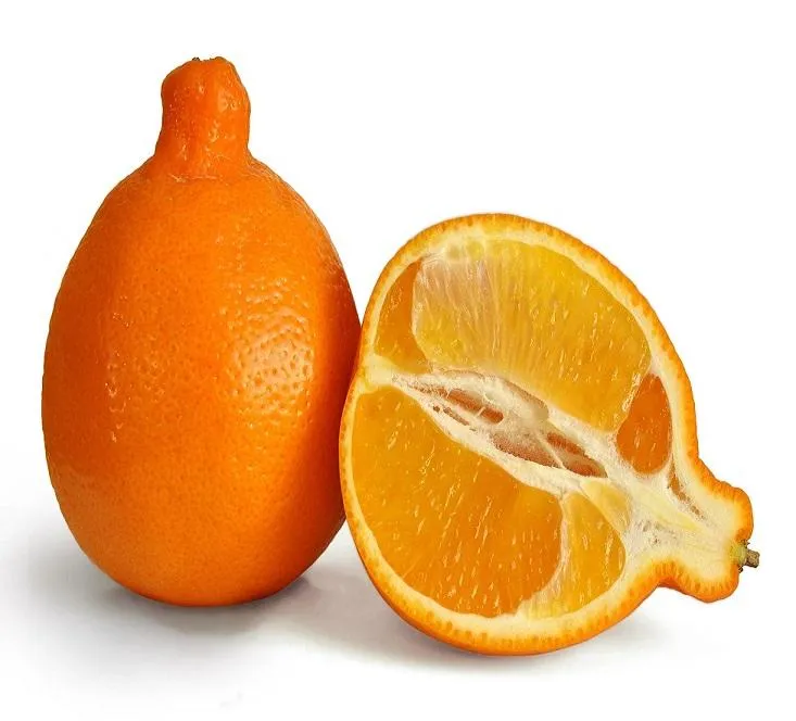 The price of mandarin fruit vs clementine from production to consumption