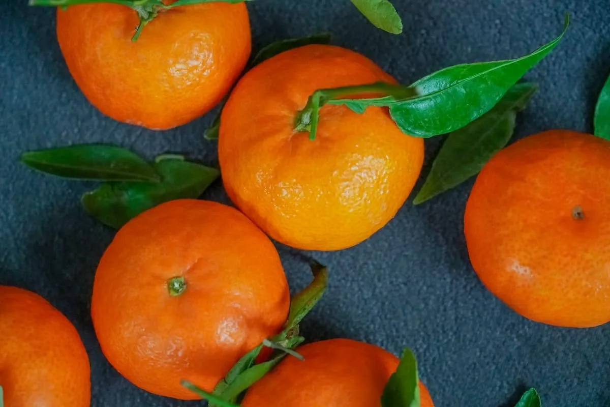clementine fruit in tagalog purchase price + specifications, cheap wholesale