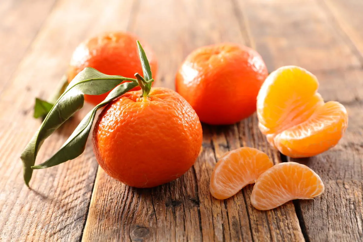 The price of clementine fruit australia + wholesale production distribution of the factory