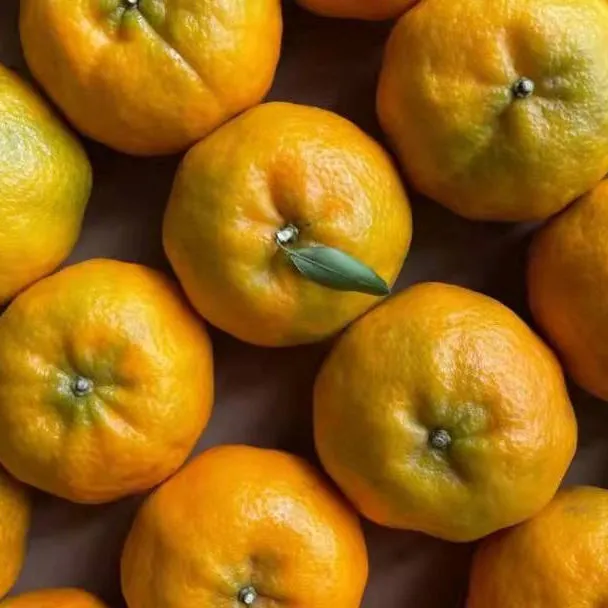 tangerine fruit vs mandarin + purchase price, use, uses and properties