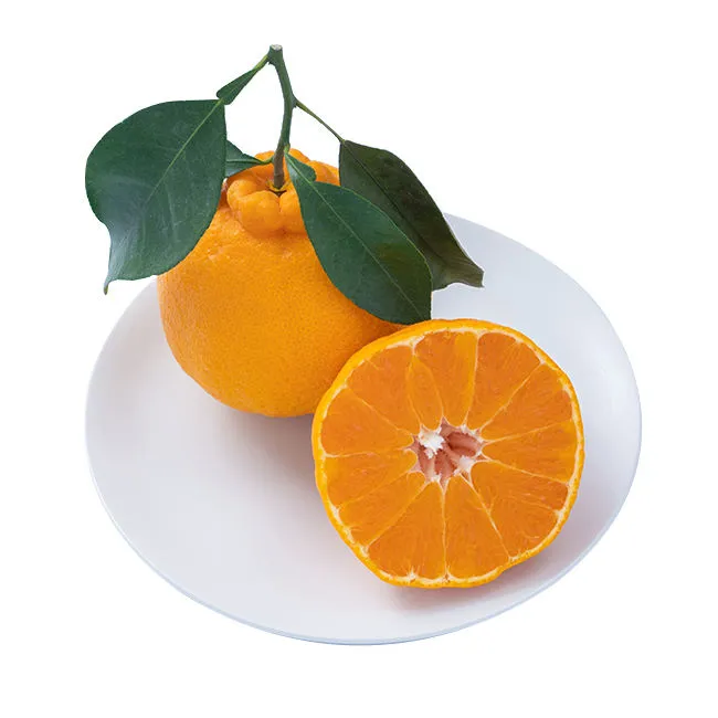 tangerine fruit vs mandarin + purchase price, use, uses and properties