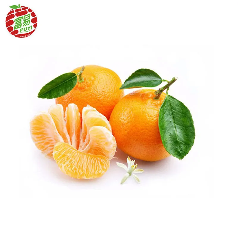 tangerine fruit vs mandarin + purchase price, use, uses and properties