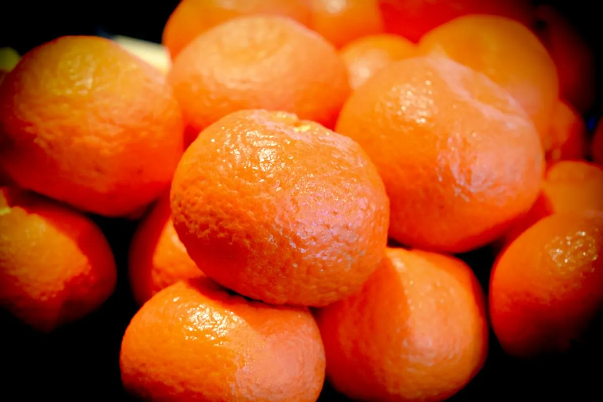 clementine fruit in tamil purchase price + quality test