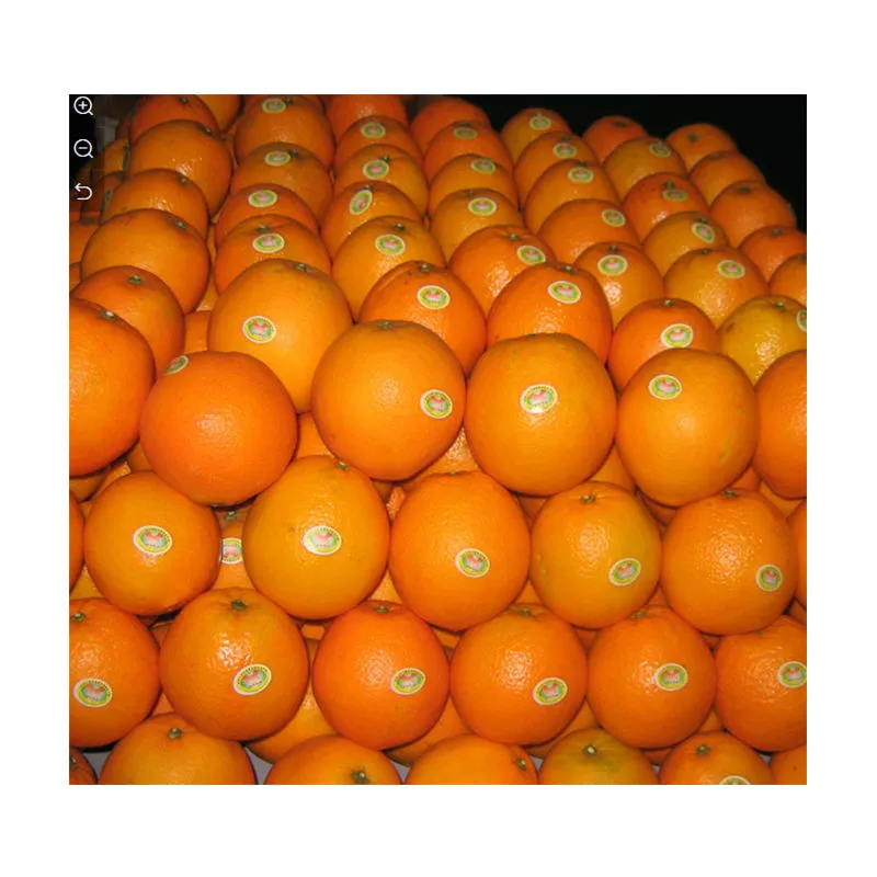 Purchase and today price of citrus fruits list