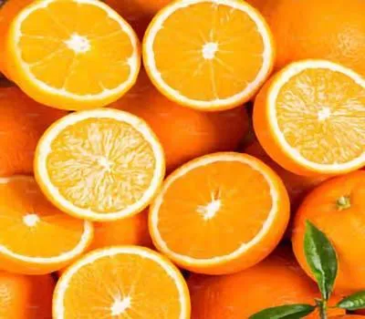 Purchase and today price of citrus fruits list