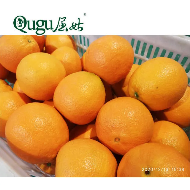 Purchase and today price of citrus fruits list