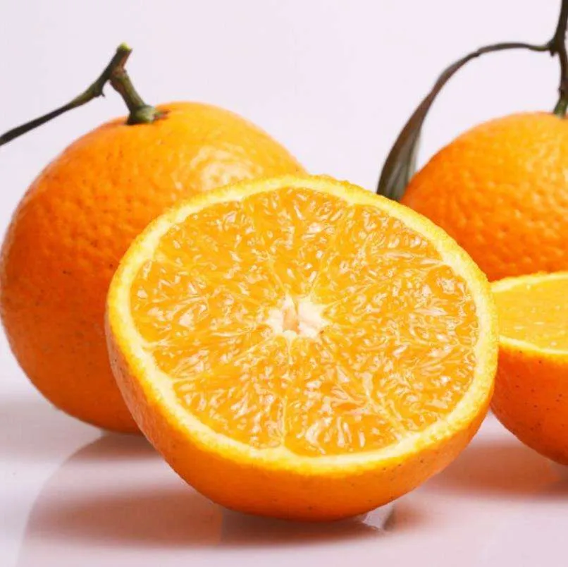 Introducing citrus fruits in India + the best purchase price