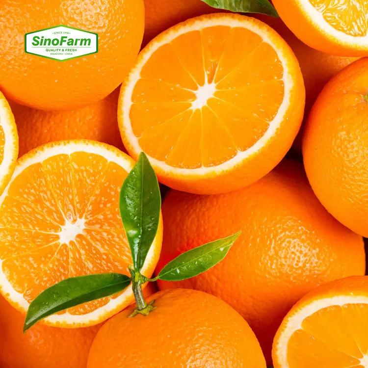 The price of citrus fruits + purchase and sale of X wholesale