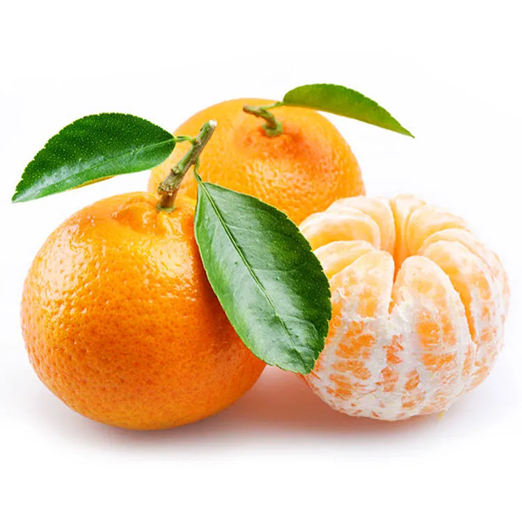 The price of citrus fruits + purchase and sale of X wholesale